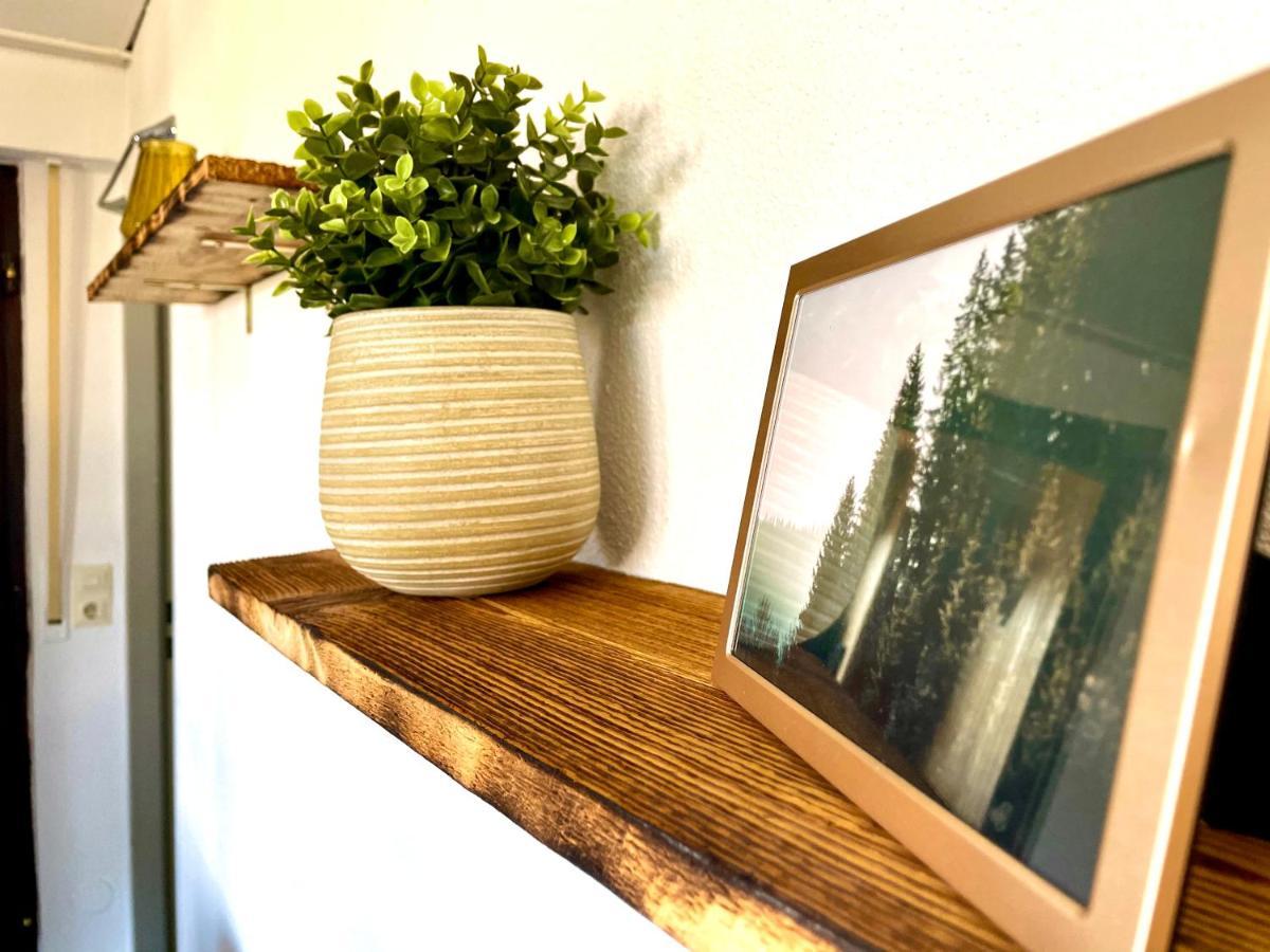 Gemuetliche Ferienwohnung Mit Kostenfreiem Pool Höchenschwand Exteriér fotografie